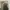 Vintage CurrentStage Suede Flight Bomber Jacket photo 6