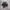 New Balance 1906R Black Silver Metallic photo 1