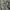 H&M Minimalist Bandeau Top Wanita Multicolor