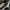Vans Skate Slip On Black White photo 6