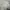 Luxury Casual Sweatshirt Pria Gray