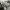 Slogan Cargo Ballon Pants Gray photo 6
