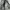 Slogan Cargo Ballon Pants Gray photo 2