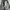 Slogan Cargo Ballon Pants Gray photo 5