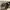 A Bathing APE Bape Sta Enlarged M2 photo 5