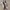 sepatu adidas samba photo 3