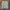nike sweatshirt green photo 1