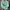 nike sweatshirt green photo 3