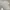 Coquette Minimalist Mini skirt Wanita white photo 1