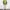 Vintage Casual Formal pants Pria cream photo 7
