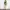 Vintage Casual Formal pants Pria cream photo 6