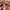 Kangol Longsleeve  photo 7