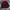 Kansai Jeans Half Zip Maroon photo 2
