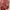 Y2k MISS SIXTY Graphic Sequin Girl 00s photo 10