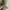 Longchamp Le Pliage | MLH Petal Pink | Original Guarantee  photo 4