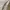 Armani	 Biker Casual Harrington jacket Pria cream photo 6