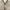 Armani	 Biker Casual Harrington jacket Pria cream photo 5
