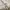 Armani	 Biker Casual Harrington jacket Pria cream photo 7