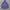 Purple Parasut Plaid Jacket  photo 2
