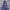 Purple Parasut Plaid Jacket  photo 9