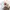 Pull & Bear Vintage Streetwear T-shirt Pria white photo 2