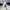Nike Sportswear Casual Casual shoe Pria white photo 3