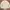 Polo Ralph Lauren Streetwear Sweatshirt Pria white photo 8