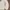 Polo Ralph Lauren Streetwear Sweatshirt Pria white photo 5