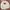 Polo Ralph Lauren Streetwear Sweatshirt Pria White