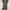 Heaven & Earth Olive Green Cut-out Punk Slim Tee (M) photo 4