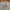 Calvin Klein Casual Sweatshirt Pria gray photo 4