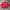 Vintage OXBRIDGE Sailing Jacket Red Faded photo 3