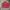 Vintage OXBRIDGE Sailing Jacket Red Faded photo 1