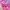 pashmina printed pink photo 2