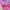 pashmina printed pink photo 1