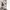 Abstrak destroyed Grunge denim straight fit photo 1