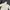 HOUSE OF SMITH HOBU WHITE  photo 1