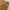 Carhartt Vintage Streetwear Pria brown photo 5