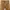 Carhartt Vintage Streetwear Pria brown photo 2