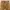 Carhartt Vintage Streetwear Pria Brown