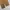 Carhartt Vintage Streetwear Pria brown photo 4