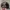 Vintage Streetwear Hat Pria black photo 4