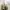 Surplus Chinese Army Military T67 Canvas Slingbag Original 
