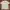 thisisneverthat Casual T-shirt Pria khaki photo 2