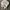 Streetwear Y2K Hat Pria white photo 3