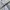 DSQUARED2 TATTOO DOUBLE ZIP BLOUSON JACKET photo 7