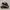 Preivesterm 77 Navy photo 1