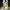 Rare Vivienne Westwood Runway 2015 Cool Earth Papua Newguine