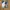 Rare Vivienne Westwood runway 2015 cool earth papua newguine photo 3