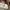 Rare Vivienne Westwood runway 2015 cool earth papua newguine photo 5